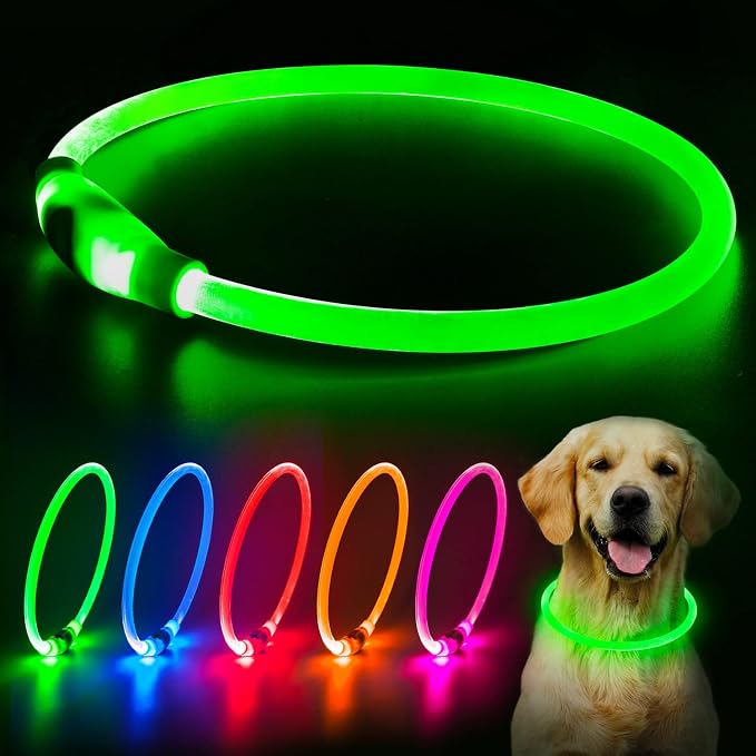 LED Dog Collar, USB Rechargeable Glow Lighted up Collar, Orange