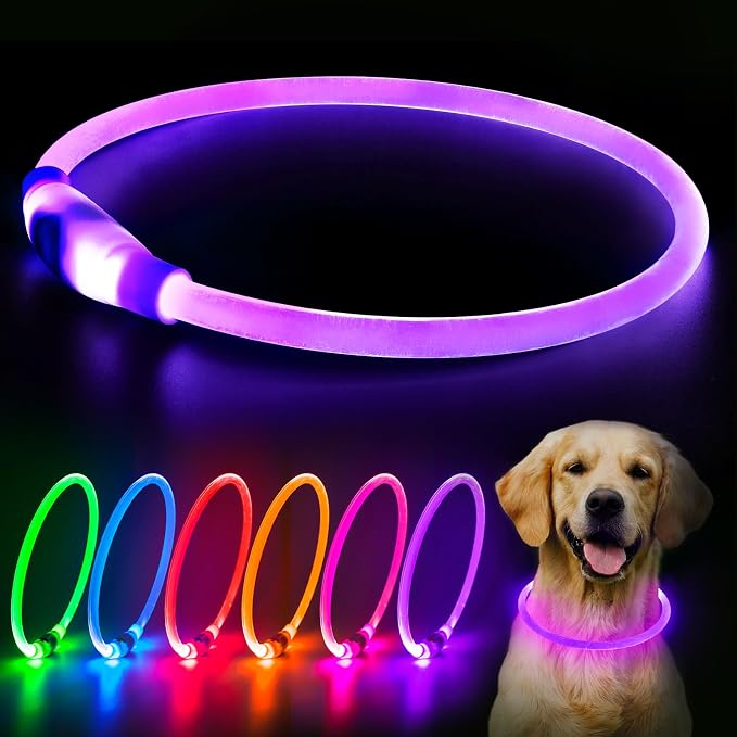 LED Dog Collar, USB Rechargeable Glow Lighted up Collar, Orange